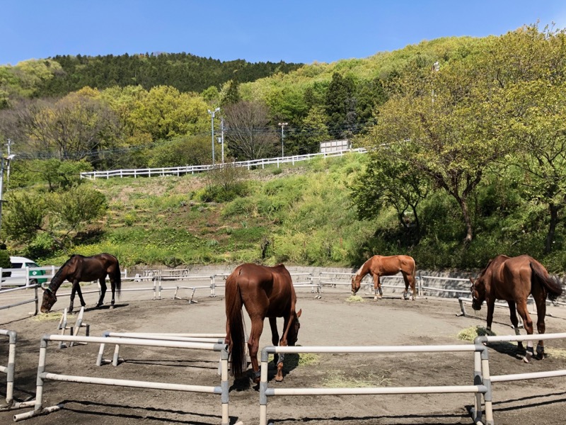 クラブ クレイン 神奈川 乗馬